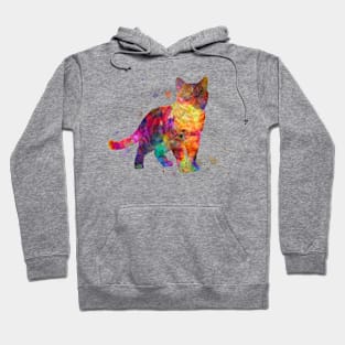 American shorthair in watercolor Hoodie